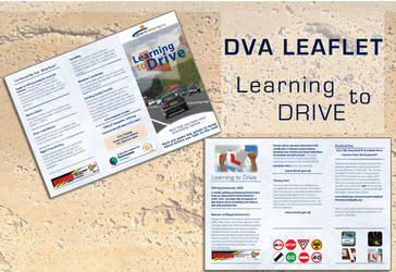 Learning to Drive Leaflet