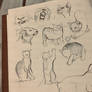 Cat sketches