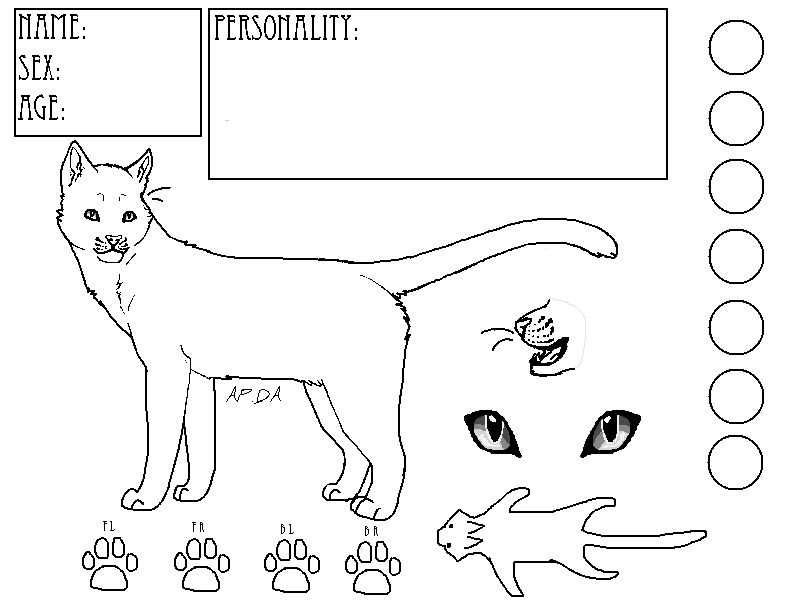 Cat Reference Sheet Template 1 by Alipixels on DeviantArt