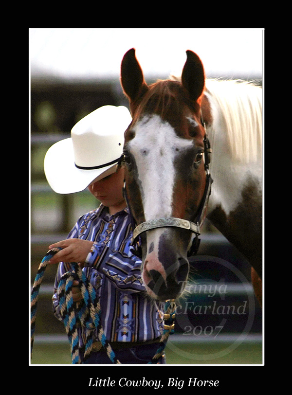 Little Cowboy, Big Horse