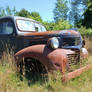 1947 Dodge truck, diseased