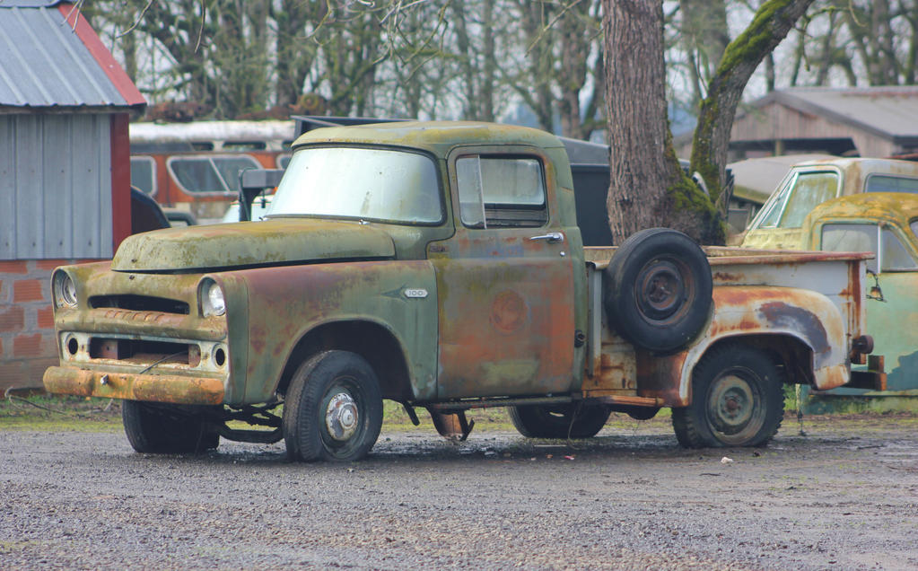 1957 Dodge pick-up truck