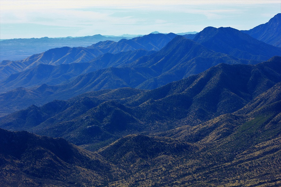 Untamed desert