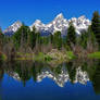 Grand Tetons beaver pond