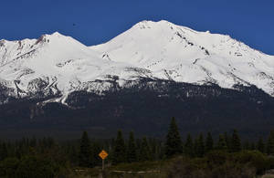 Mt. Shasta, Calif.