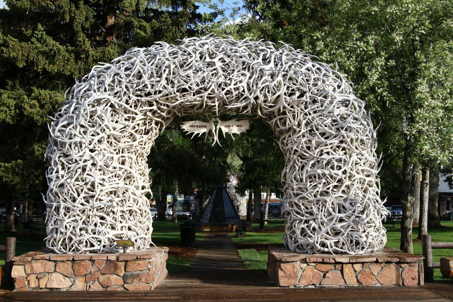 The famous antler arch by finhead4ever on DeviantArt