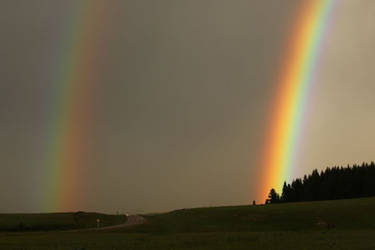 2 pots og gold!