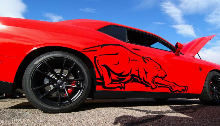 Coolest graphics yet by finhead4ever on DeviantArt