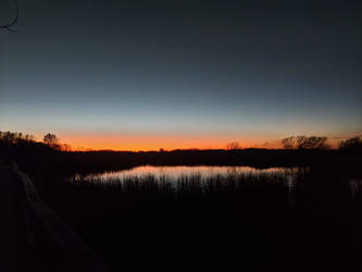 Pond Sunset 