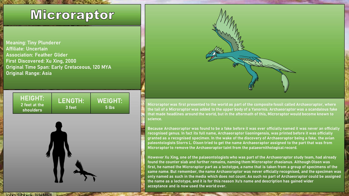 LBT Bestiary - Microraptor by 98bokaj on DeviantArt