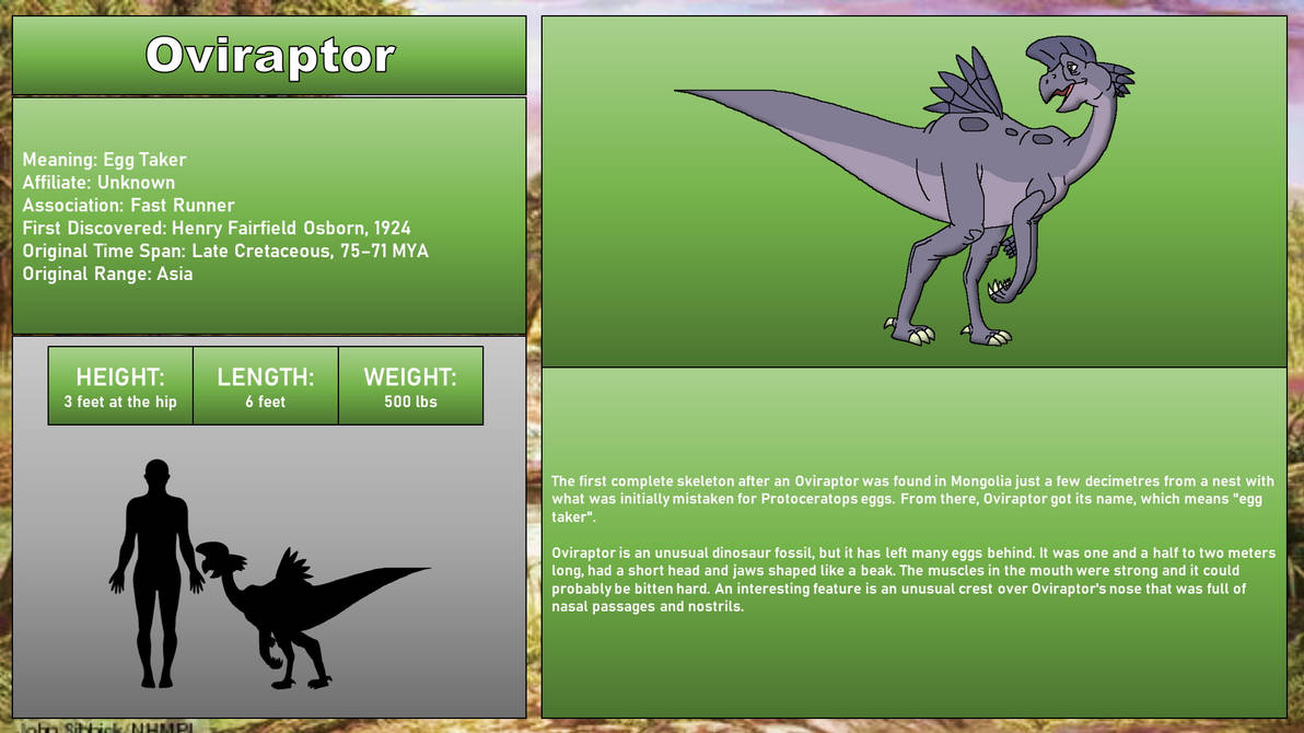 LBT Bestiary - Oviraptor by 98bokaj on DeviantArt