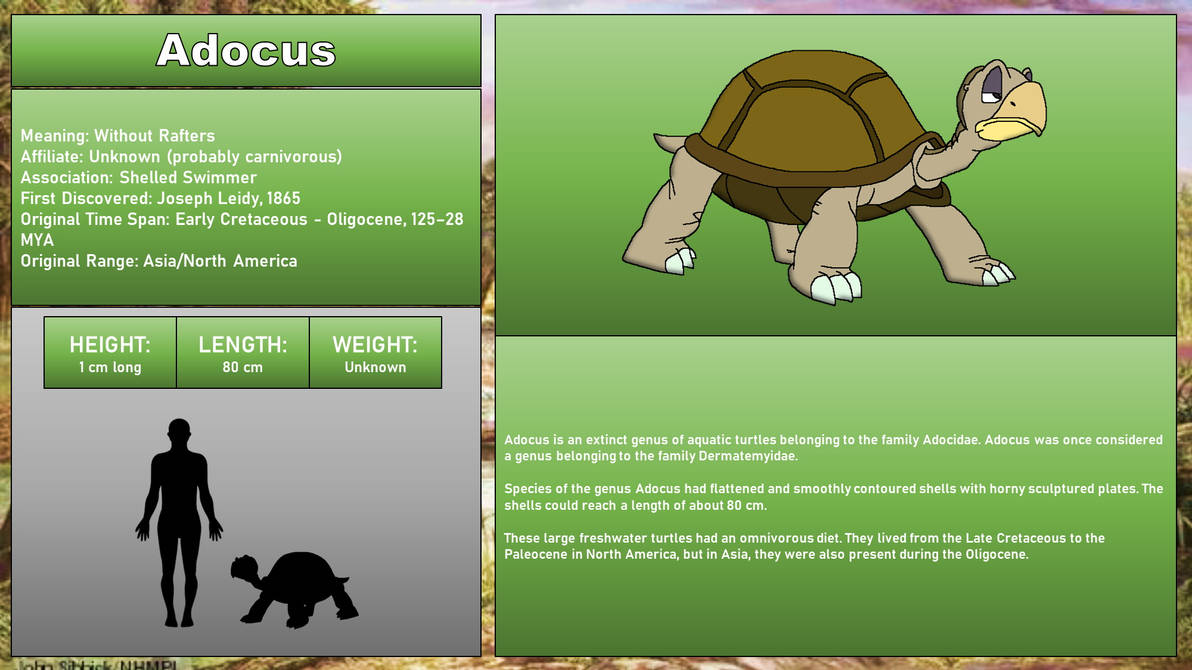 Adocus Shell LBT Bestiary - Adocus by 98bokaj on DeviantArt