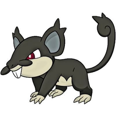 019 Alolan Rattata (Anime) by 98bokaj on DeviantArt