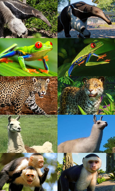 Planet Zoo Animal Comparison (South America) by 98bokaj on DeviantArt Planet Zoo Animal Comparison (South America) by 98bokaj on DeviantArt