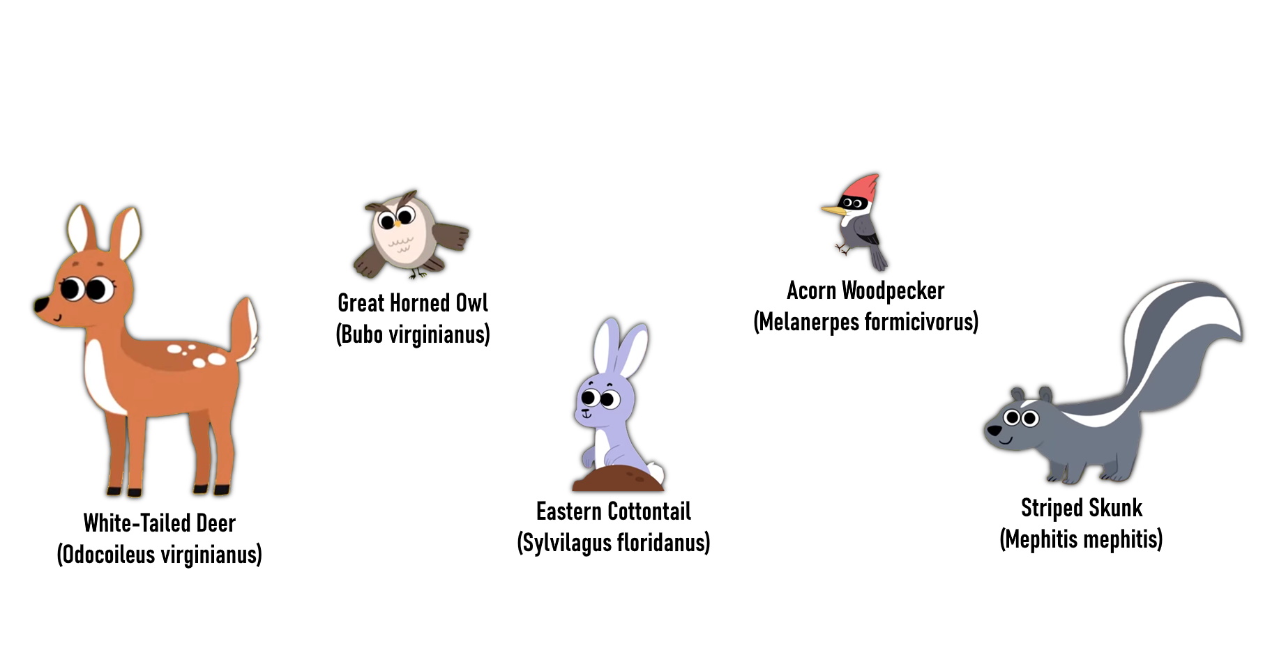 Super Simple - Forest Animals Character Model by 98bokaj on DeviantArt Super Simple - Forest Animals Character Model by 98bokaj on DeviantArt