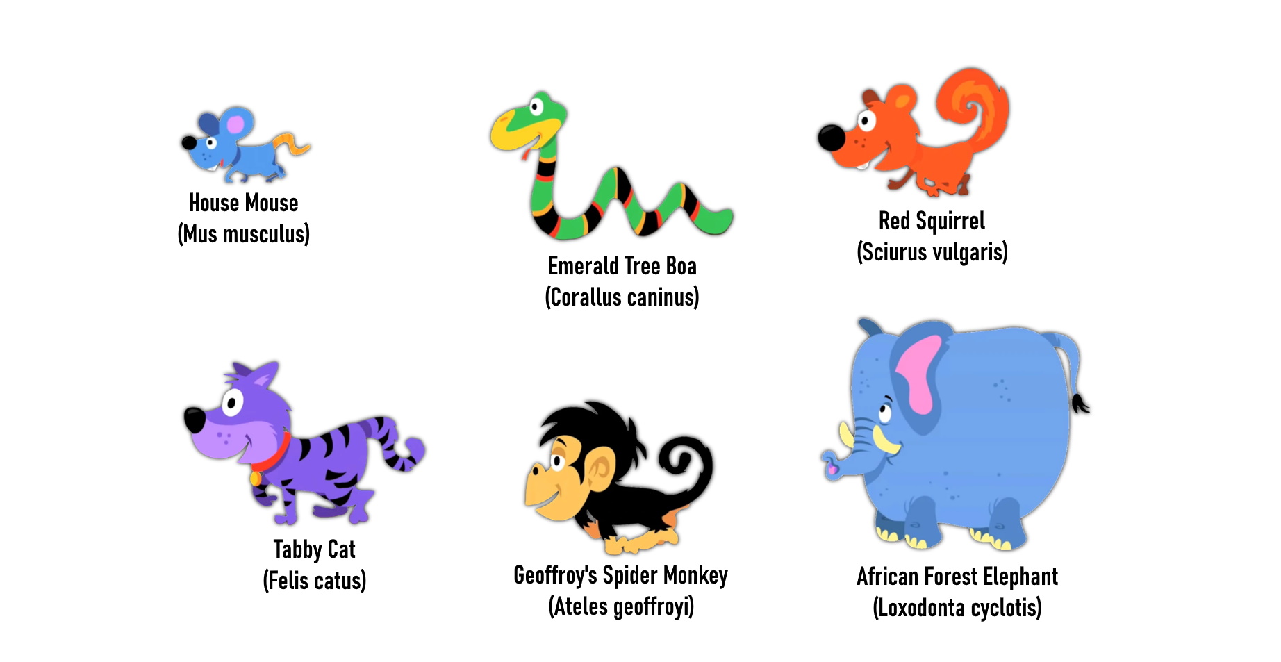 Super Simple - HHD Animals Character Model by 98bokaj on DeviantArt Super Simple - HHD Animals Character Model by 98bokaj on DeviantArt
