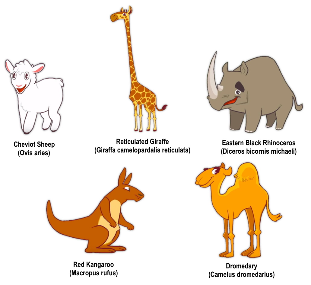Super Simple - MHALL Animals Character Model by 98bokaj on DeviantArt