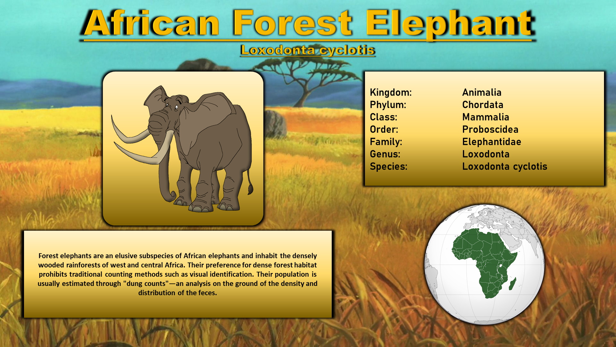Animal Bestiary - African Forest Elephant by 98bokaj on DeviantArt