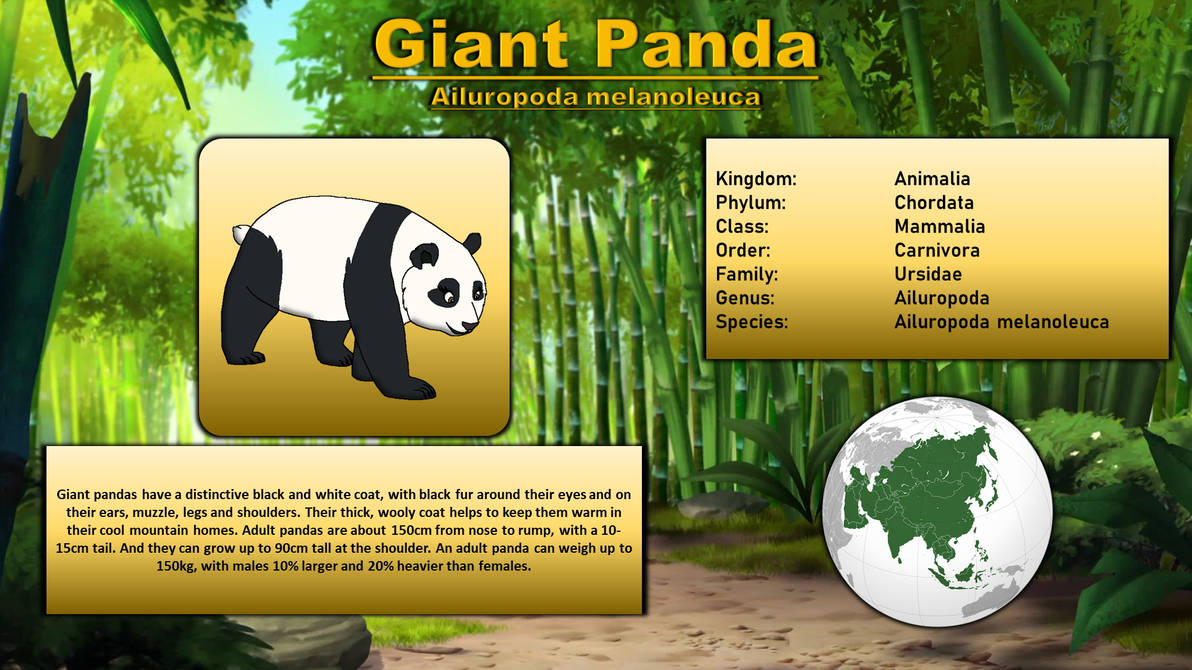 Panda Classification Animal Bestiary - Giant Panda by 98bokaj on DeviantArt