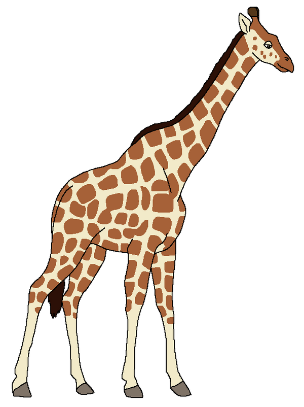 ZooMania - Reticulated Giraffe by 98bokaj on DeviantArt