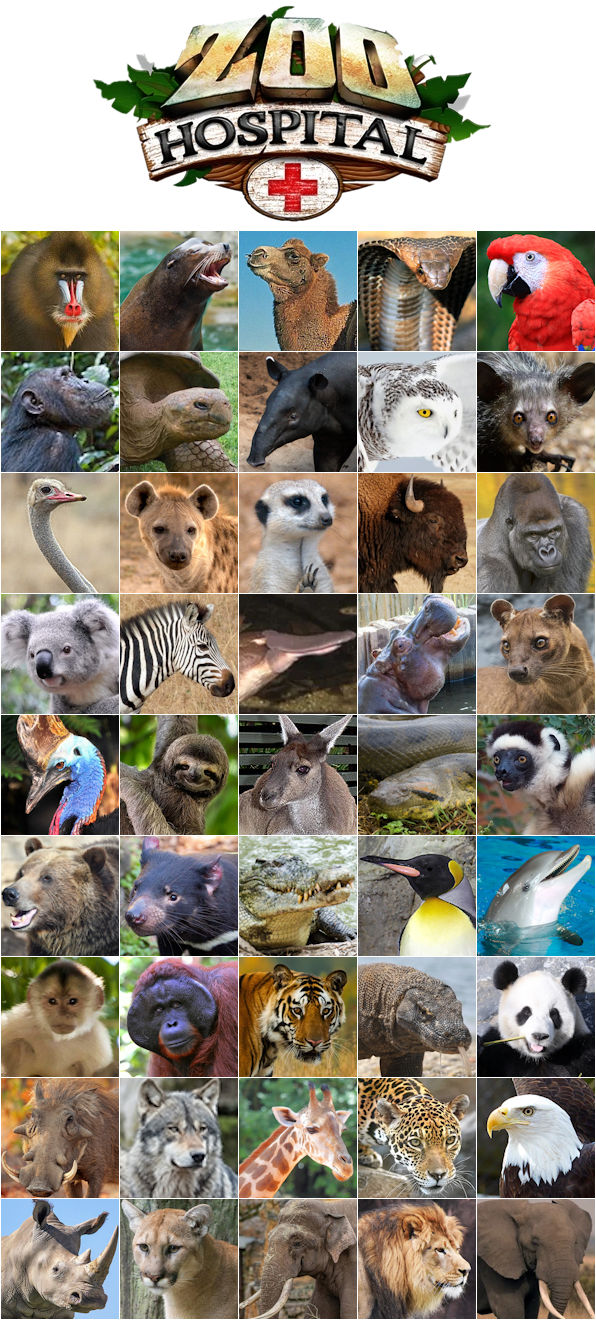 Zoo Tycoon 3 (2018) - Animals (Standard) by 98bokaj on DeviantArt
