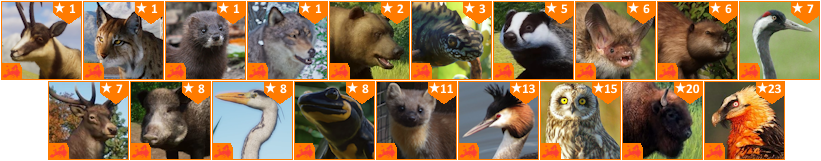 Zoo Tycoon 3 (2018) - Animals (Australia) by 98bokaj on DeviantArt