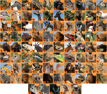 Zoo Tycoon 1 Complete Collection Animals by 98bokaj on DeviantArt