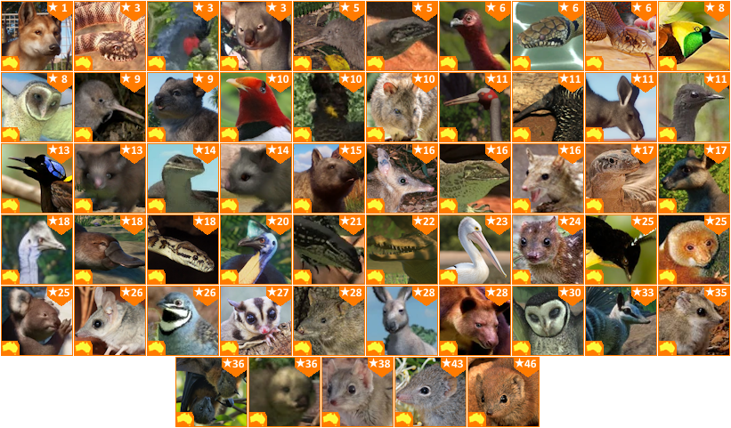 Zoo Tycoon 3 (2018) - Animals (Standard) by 98bokaj on DeviantArt