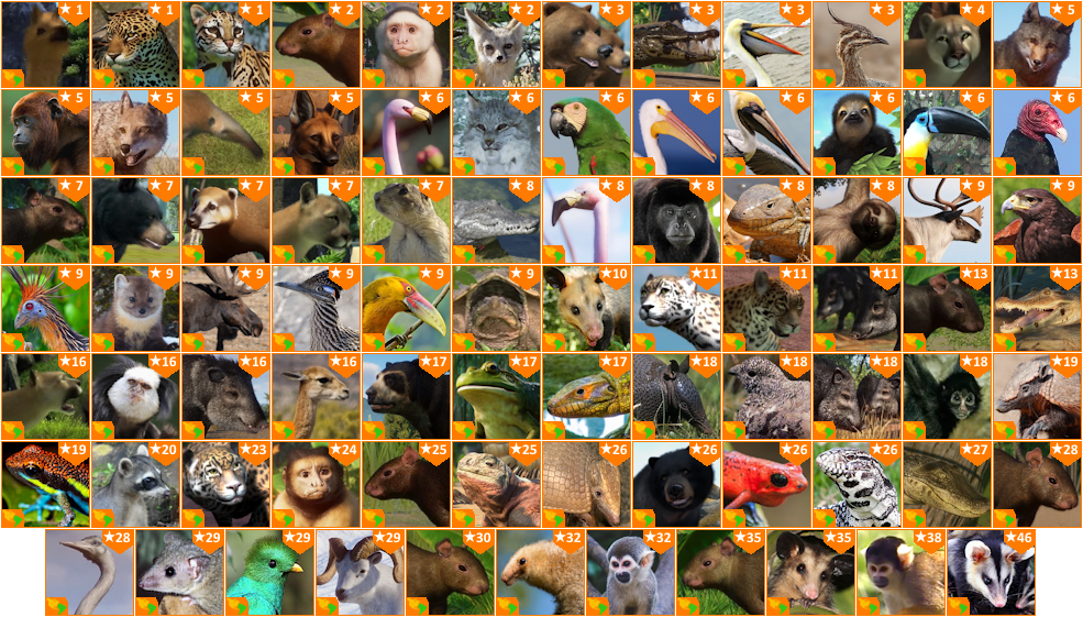 Zoo Tycoon 3 (2018) - Animals (Australia) by 98bokaj on DeviantArt