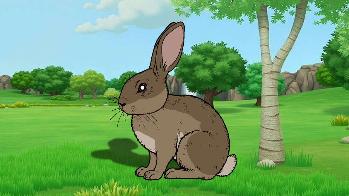ZT3 - Domestic Rabbit by 98bokaj on DeviantArt