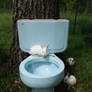 Beware of Albino toilet bunny3