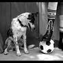 Black and white and soccer