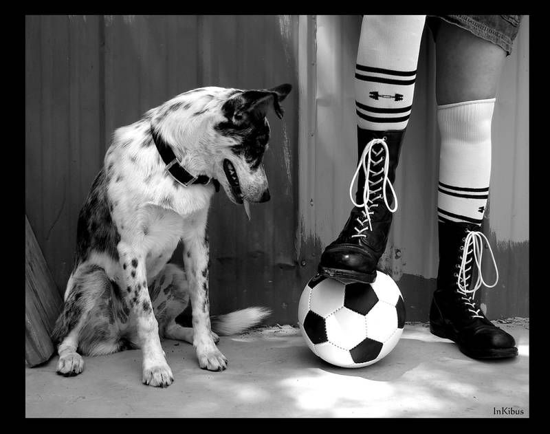 Black and white and soccer by InKibus