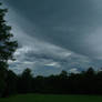 Undulatus Asperatus 2