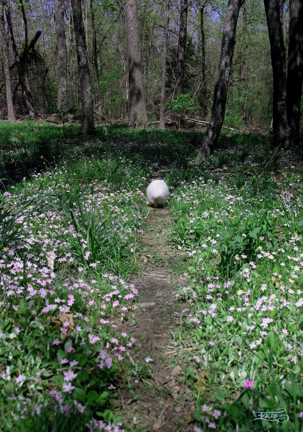 Getting Off Topic Rabbit Trail Hopping down the bunny trail by InKibus on DeviantArt