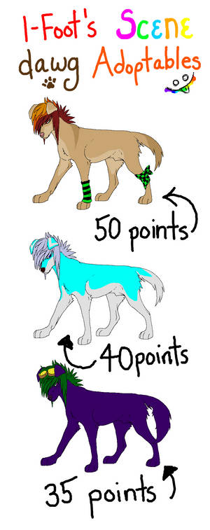 Scene Dogs Point-Adoptables