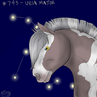 #743 - Ursa Major [Bid]