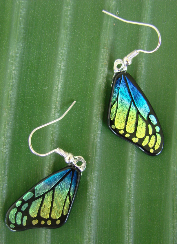 Butterfly Wing Earrings Fused