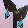 Glass Bl. Morpho Wing Earrings