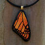 Med. Monarch Wing Glass
