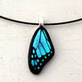 Blue Butterfly Wing Mini Fused Glass