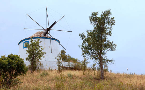 white windmill