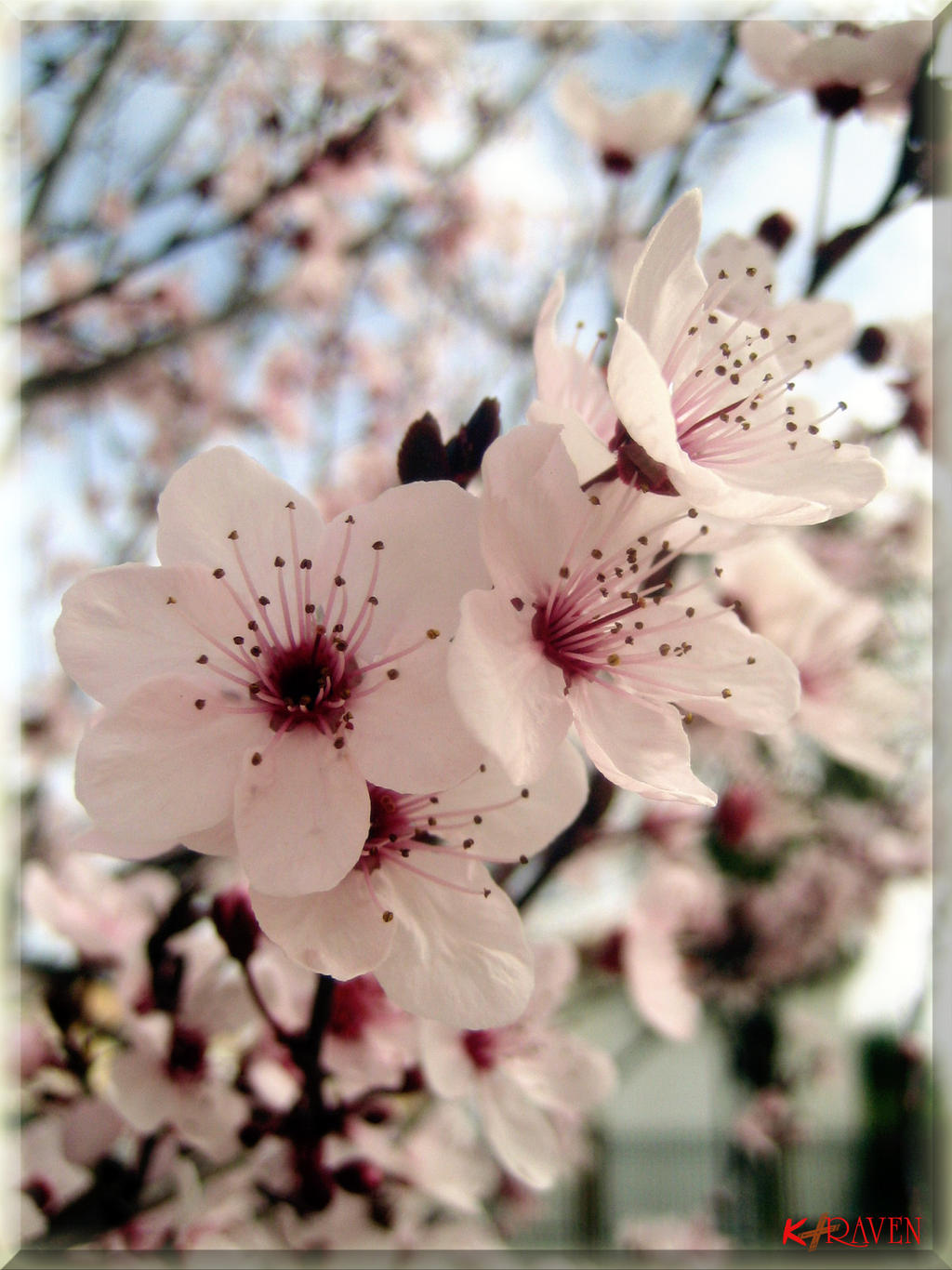 The spring in Andalusia