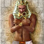 Pharaoh of the sands