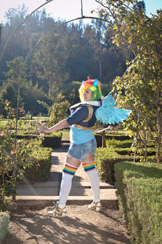 Rainbow Dash - MLP