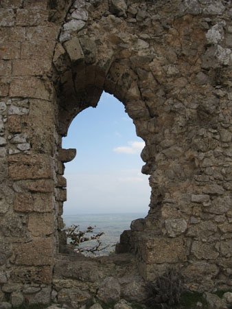 Window