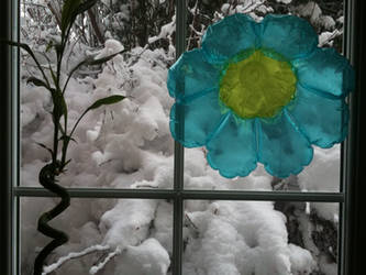 Flower and Snow