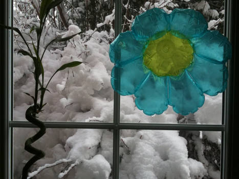 Flower and Snow