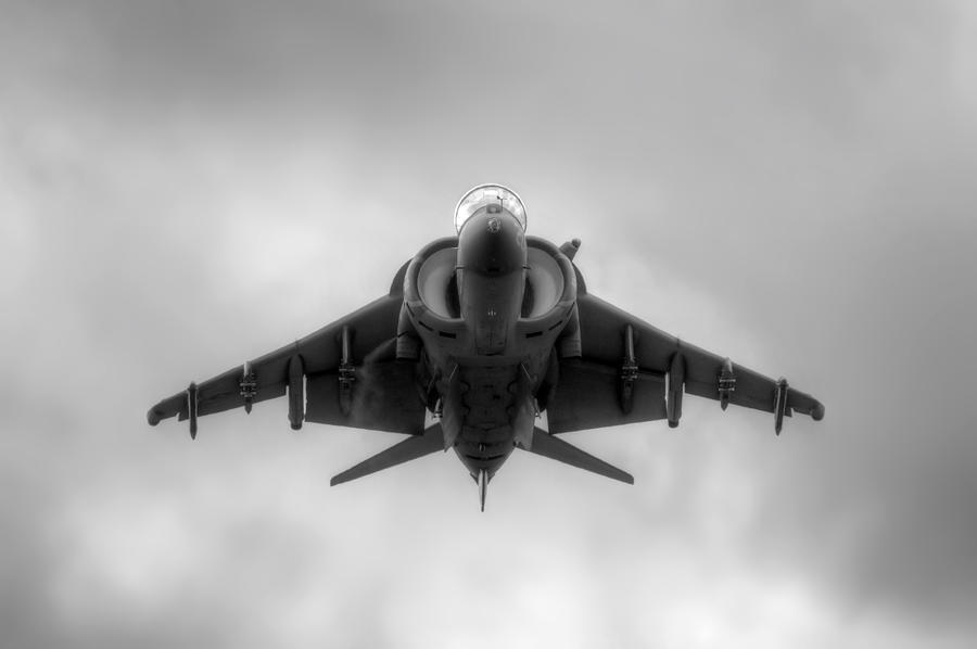 Harrier Nose to Nose