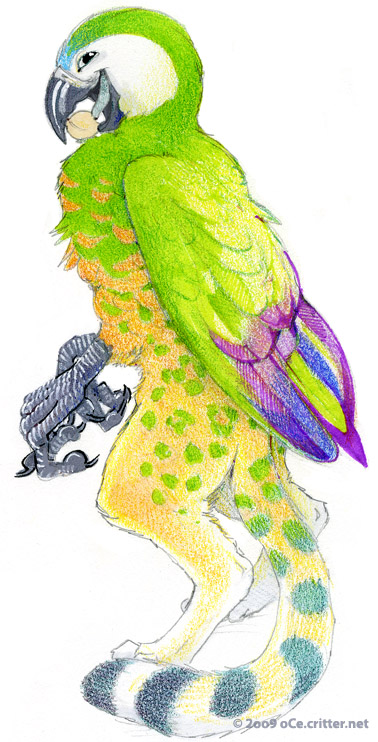 Parrot Gryphon